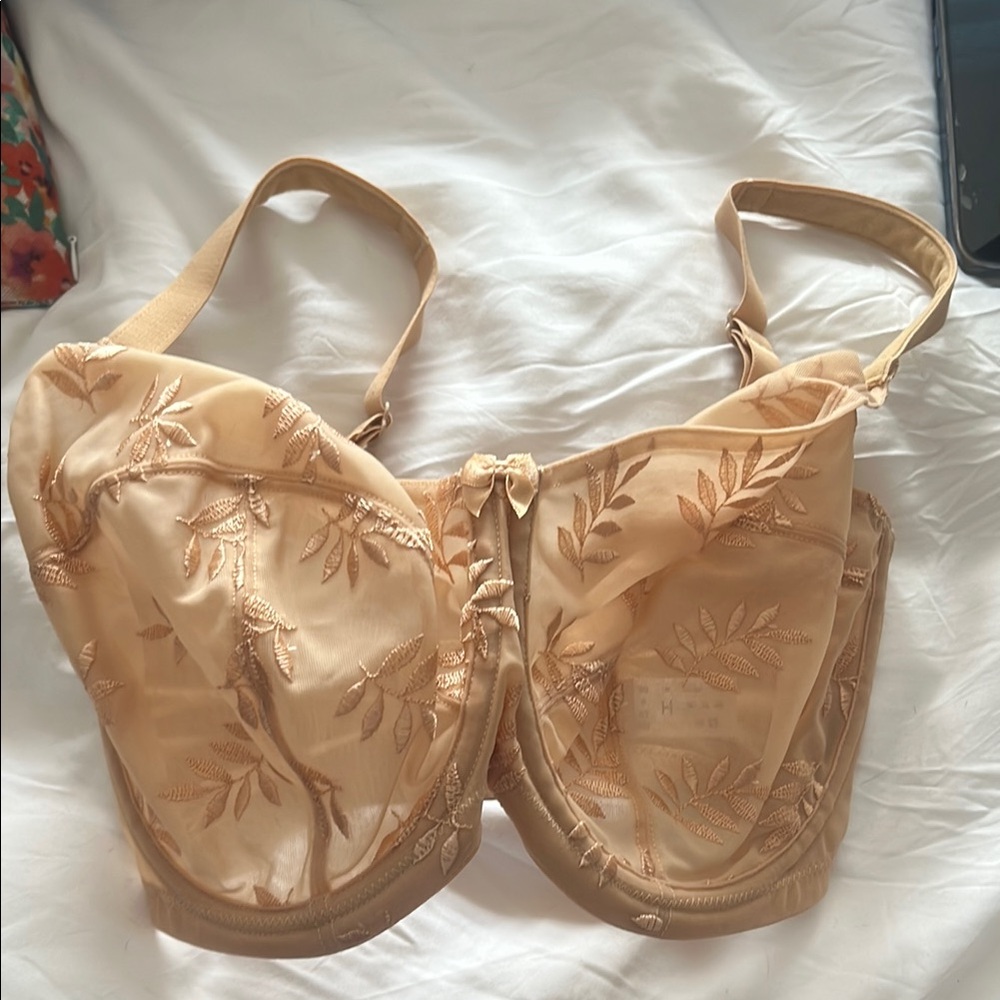 Panache Elegant Embroidered Women's Bra 30H